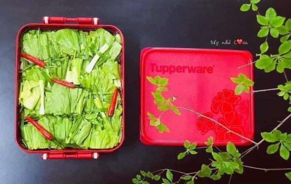 TUP05 - Set 2 hộp kim chi Tupperware (xả kho)
