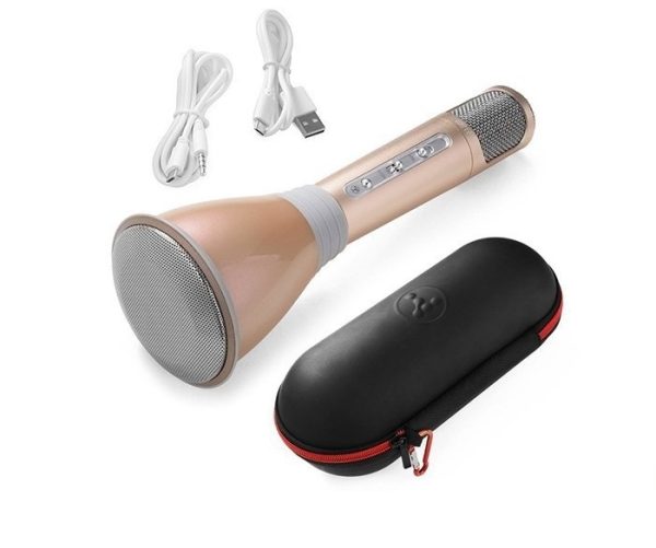 Micro Cầm Tay Tích Hợp Loa Hát Karaoke - chiếc
