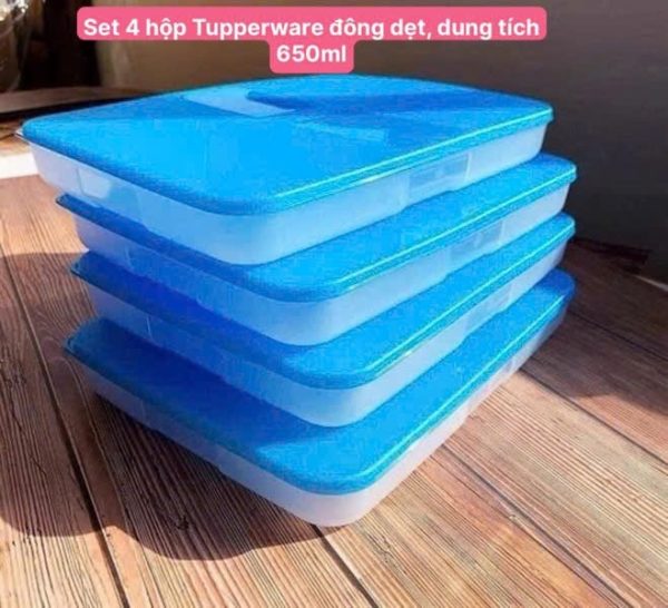 TUP17 - Set 4 hộp Tupperware đông dẹt, dung tích 650ml