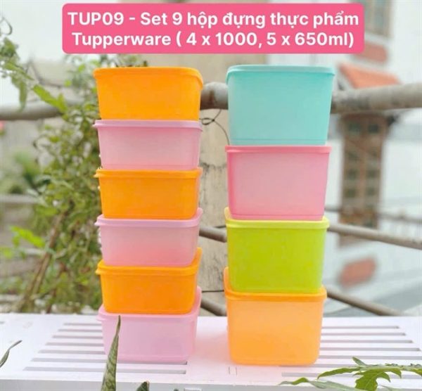 TUP10 - Set 10 hộp nhựa tupperware ngăn mát (4x1000ml + 6x650ml)